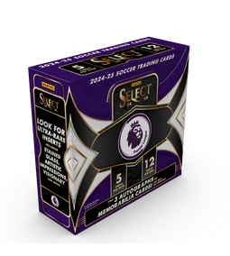2024-25 Panini Select English Premier League