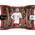 2020 PANINI Select EURO Soccer Hybrid H2 Box